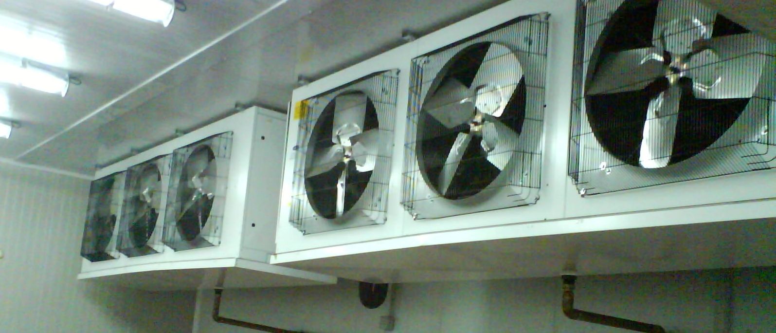 Cámara frigorífica industrial montada por Frimec